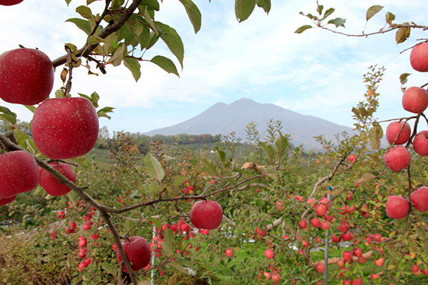 【限定30名ご招待!】弘前の若手職人によるトークイベント 「HIROSAKI CRAFTSMEN　ひろさき－まち・ひと・工芸」